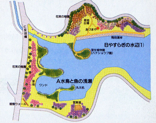 図-1　水鳥と魚の浅瀬、やすらぎの水辺全体図